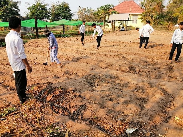 植樹整地作業