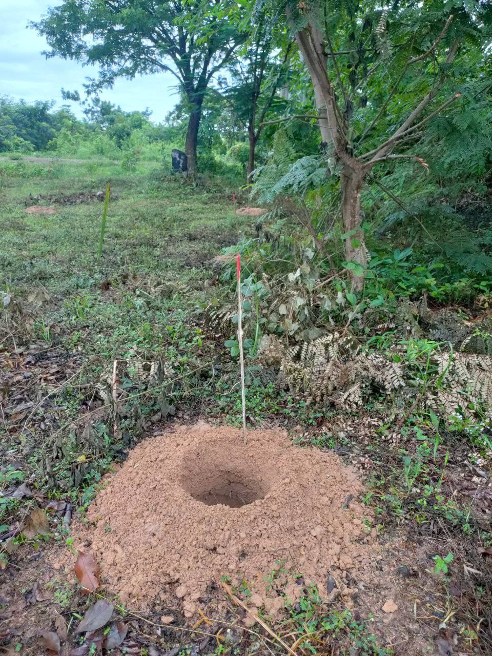 tree planting hole drilling