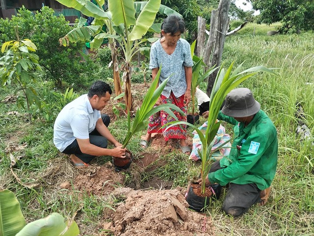 ７月植樹活動