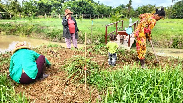 除草作業