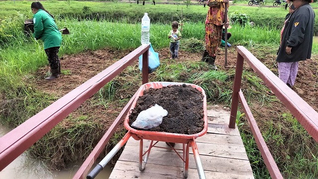 除草作業１